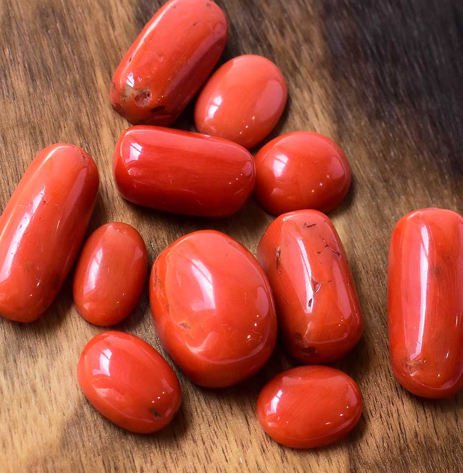 Capsule Italian Coral Cabochons
