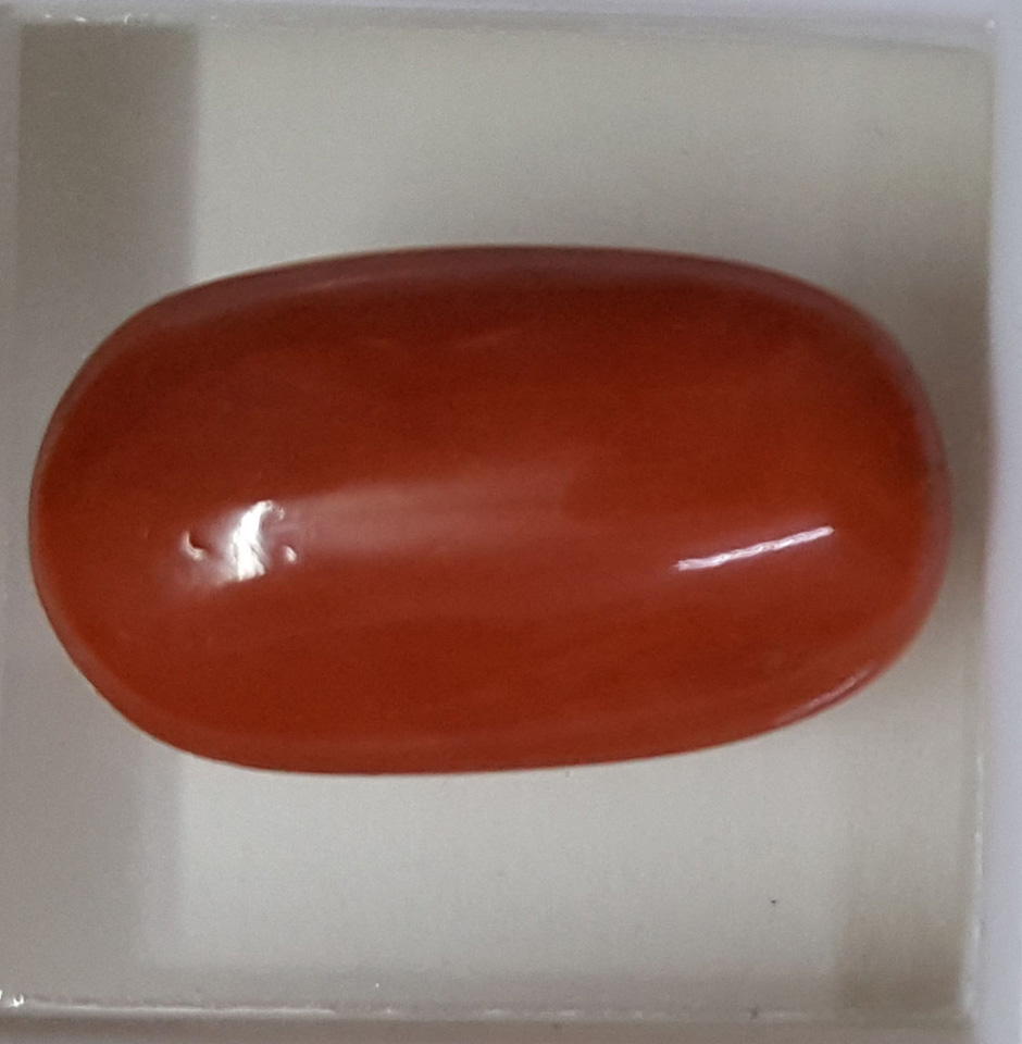 oval_moonga_1671185177